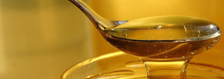  Honey Test Hillcrest Boulder CO